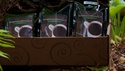 Eco Sense Coffees Mild - Gift Set